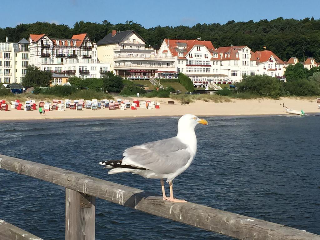 Panorama Hotel Bansin Heringsdorf  Eksteriør billede